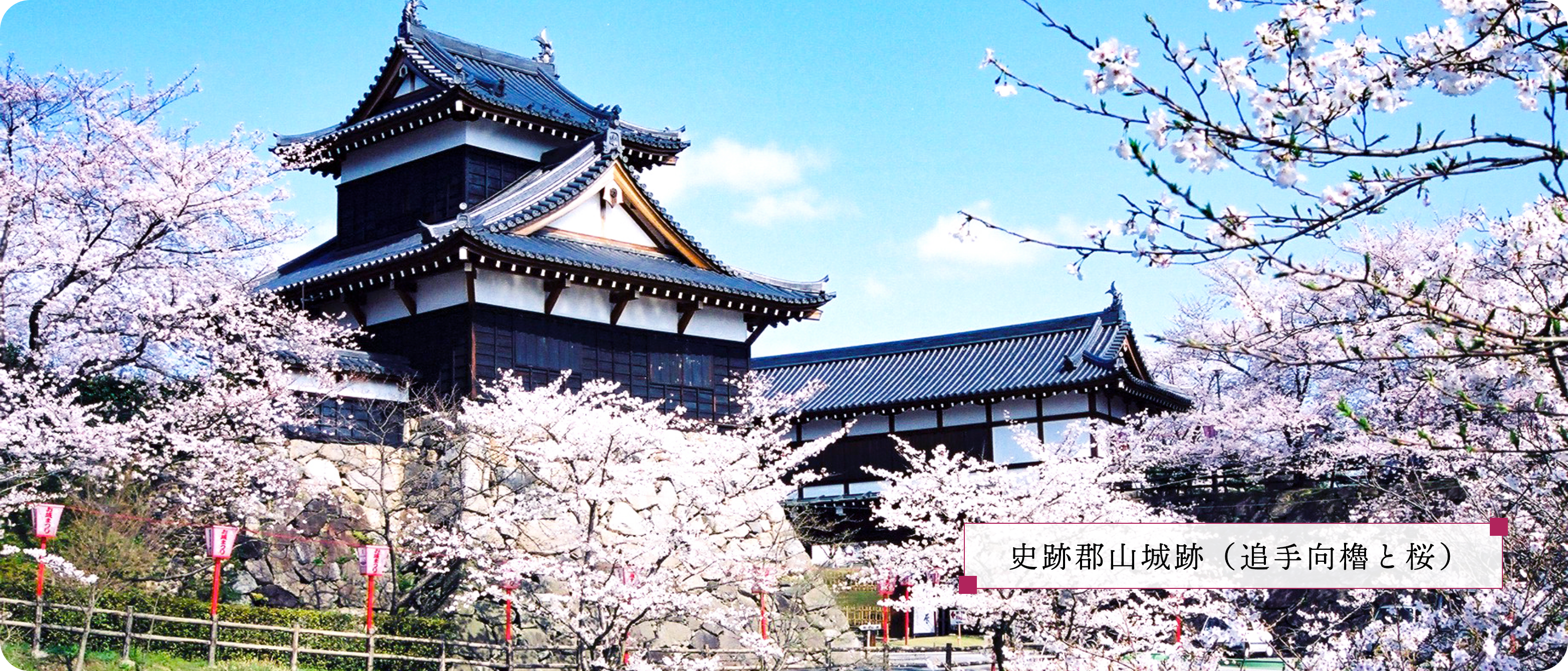 史跡郡山城跡（追手向櫓と桜）