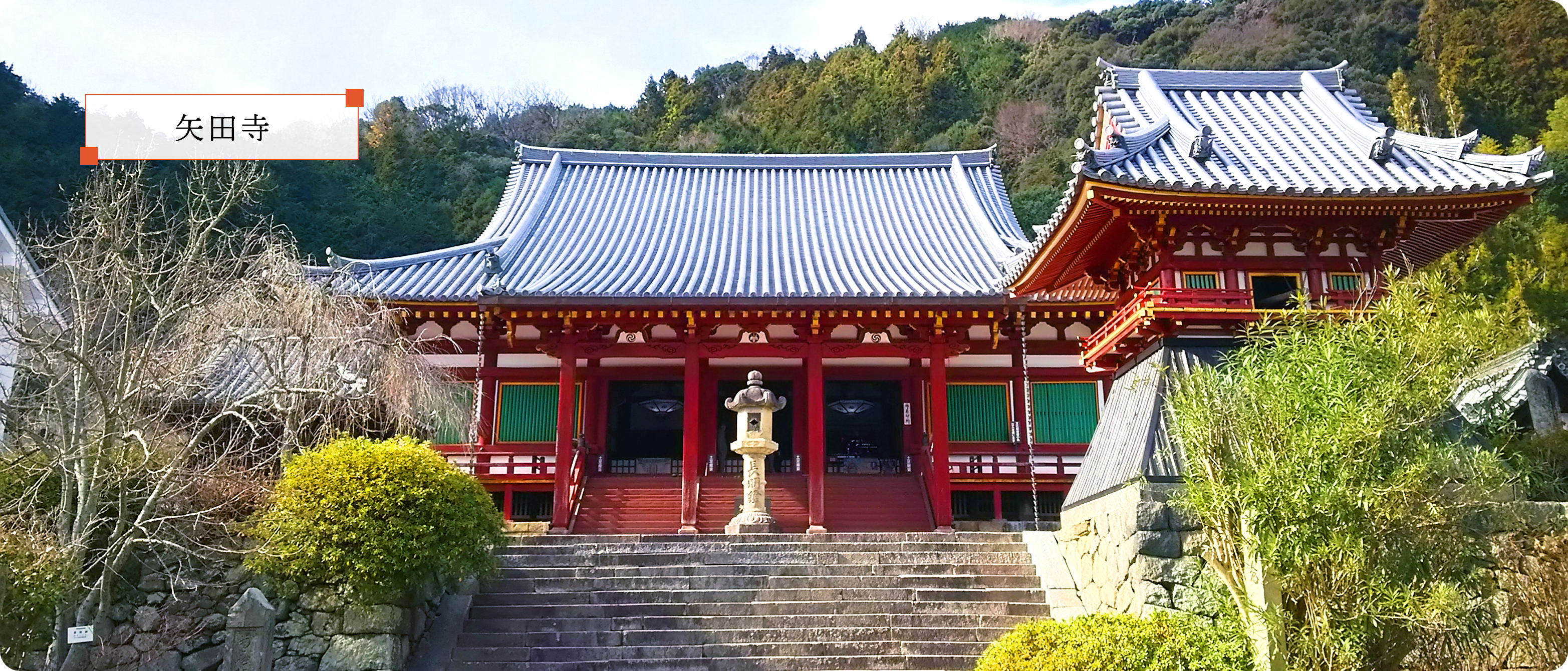 矢田寺