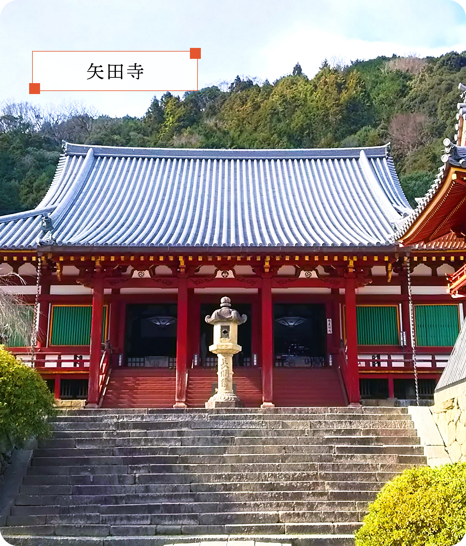 矢田寺