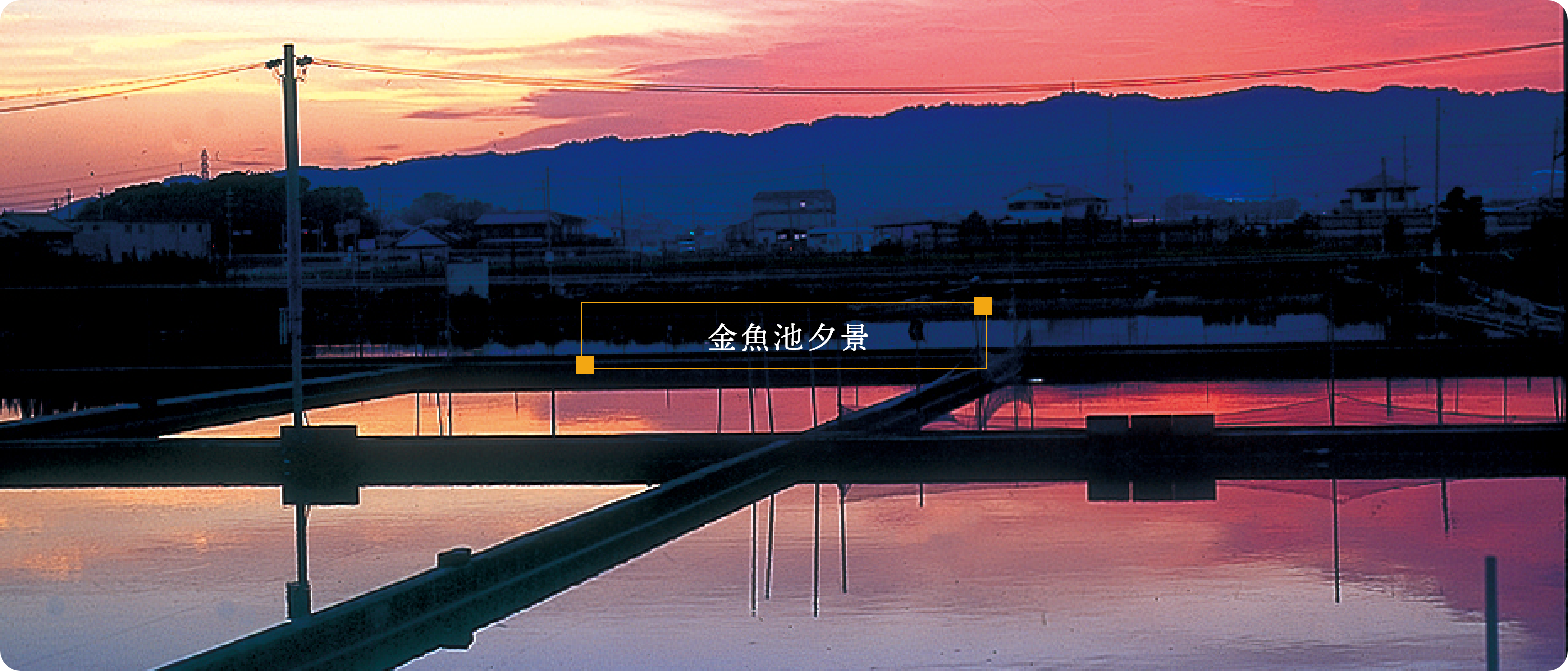 金魚池夕景